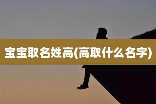 宝宝取名姓高(高取什么名字)