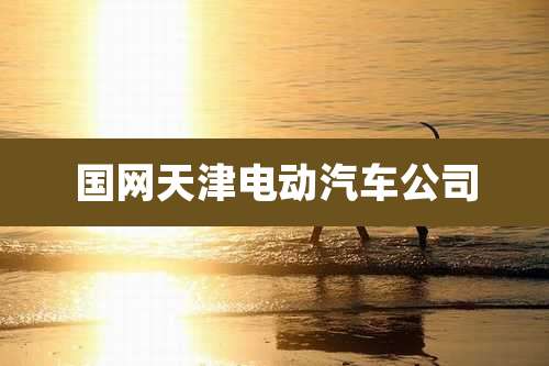 国网天津电动汽车公司