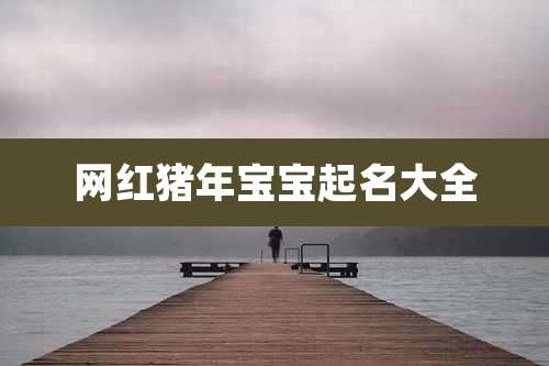 网红猪年宝宝起名大全