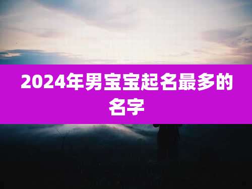 2024年男宝宝起名最多的名字