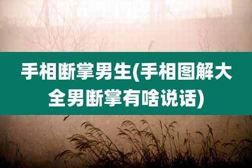 手相断掌男生(手相图解大全男断掌有啥说话)