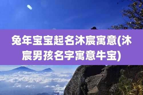 兔年宝宝起名沐宸寓意(沐宸男孩名字寓意牛宝)