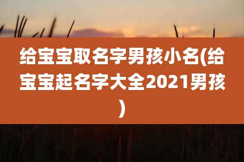 给宝宝取名字男孩小名(给宝宝起名字大全2021男孩)