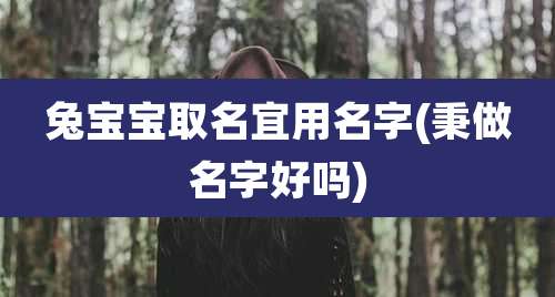兔宝宝取名宜用名字(秉做名字好吗)