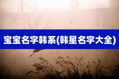 宝宝名字韩系(韩星名字大全)
