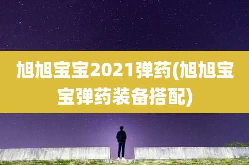 旭旭宝宝2021弹药(旭旭宝宝弹药装备搭配)
