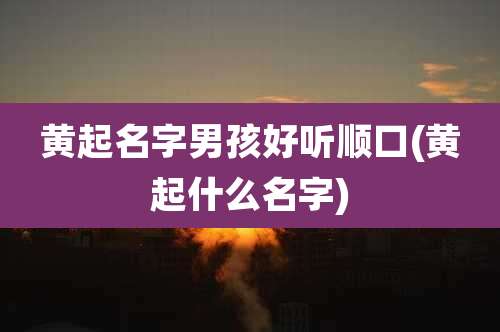 黄起名字男孩好听顺口(黄起什么名字)