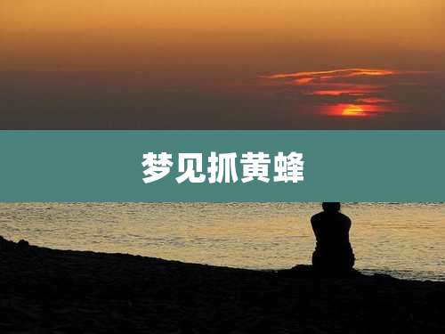 梦见抓黄蜂