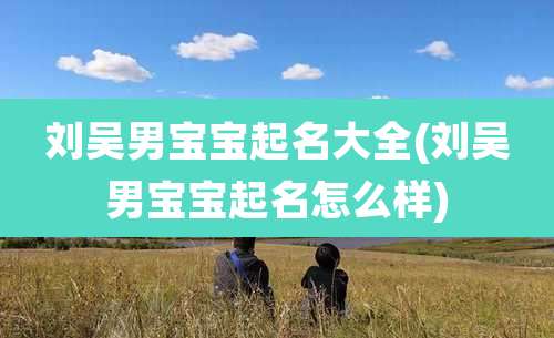 刘吴男宝宝起名大全(刘吴男宝宝起名怎么样)