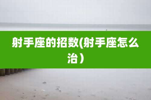 射手座的招数(射手座怎么治)