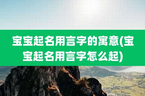 宝宝起名用言字的寓意(宝宝起名用言字怎么起)