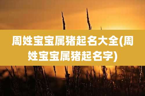 周姓宝宝属猪起名大全(周姓宝宝属猪起名字)