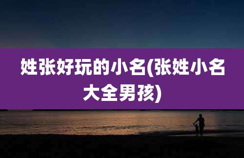 姓张好玩的小名(张姓小名大全男孩)