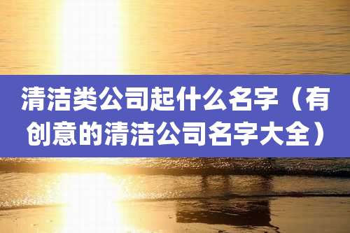 清洁类公司起什么名字(有创意的清洁公司名字大全)
