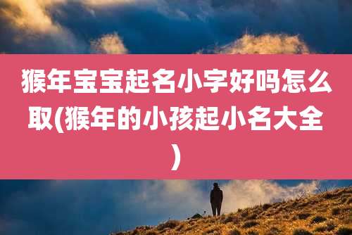 猴年宝宝起名小字好吗怎么取(猴年的小孩起小名大全)