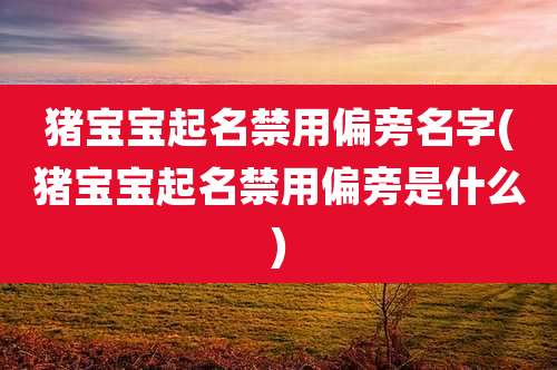 猪宝宝起名禁用偏旁名字(猪宝宝起名禁用偏旁是什么)