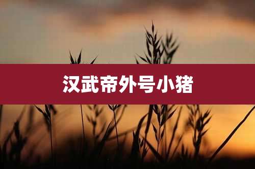 汉武帝外号小猪