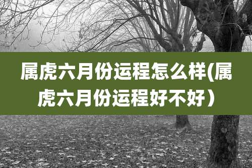 属虎六月份运程怎么样(属虎六月份运程好不好)