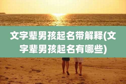 文字辈男孩起名带解释(文字辈男孩起名有哪些)