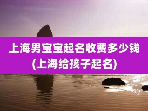 上海男宝宝起名收费多少钱(上海给孩子起名)