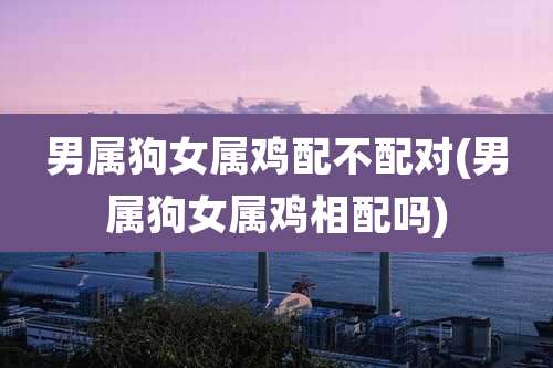 男属狗女属鸡配不配对(男属狗女属鸡相配吗)