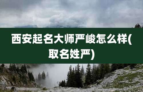 西安起名大师严峻怎么样(取名姓严)