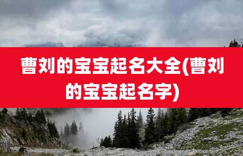 曹刘的宝宝起名大全(曹刘的宝宝起名字)