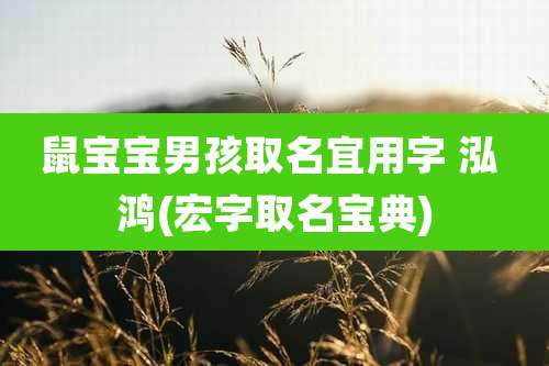 鼠宝宝男孩取名宜用字 泓 鸿(宏字取名宝典)