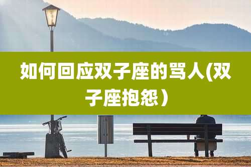 如何回应双子座的骂人(双子座抱怨）