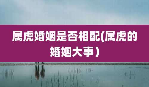 属虎婚姻是否相配(属虎的婚姻大事）