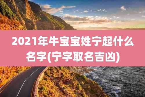 2021年牛宝宝姓宁起什么名字(宁字取名吉凶)