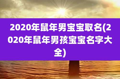 2020年鼠年男宝宝取名(2020年鼠年男孩宝宝名字大全)