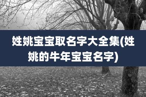 姓姚宝宝取名字大全集(姓姚的牛年宝宝名字)