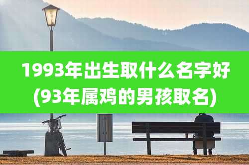 1993年出生取什么名字好(93年属鸡的男孩取名)