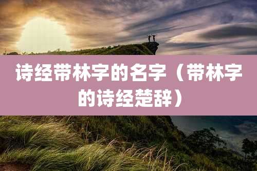 诗经带林字的名字（带林字的诗经楚辞）