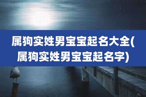 属狗实姓男宝宝起名大全(属狗实姓男宝宝起名字)