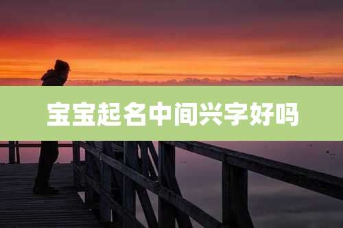 宝宝起名中间兴字好吗