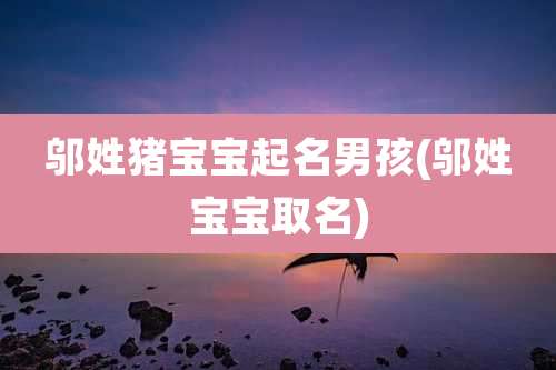 邬姓猪宝宝起名男孩(邬姓宝宝取名)