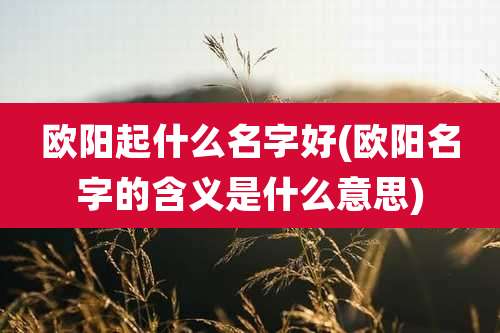 欧阳起什么名字好(欧阳名字的含义是什么意思)