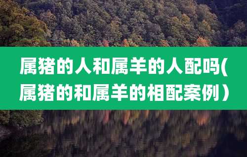 属猪的人和属羊的人配吗(属猪的和属羊的相配案例）