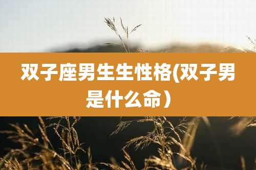 双子座男生生性格(双子男是什么命)