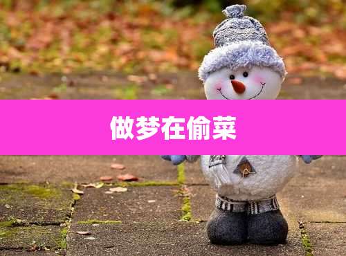 做梦在偷菜