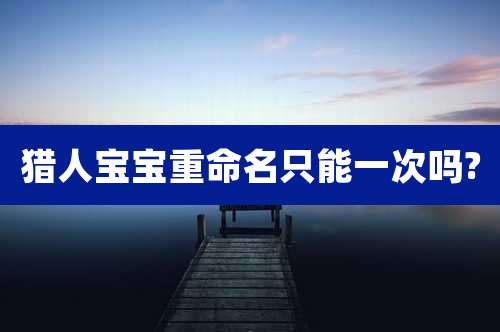 猎人宝宝重命名只能一次吗?