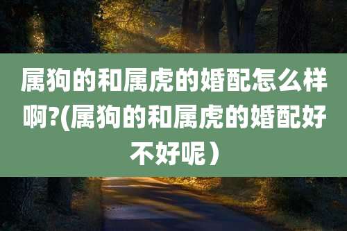 属狗的和属虎的婚配怎么样啊?(属狗的和属虎的婚配好不好呢）