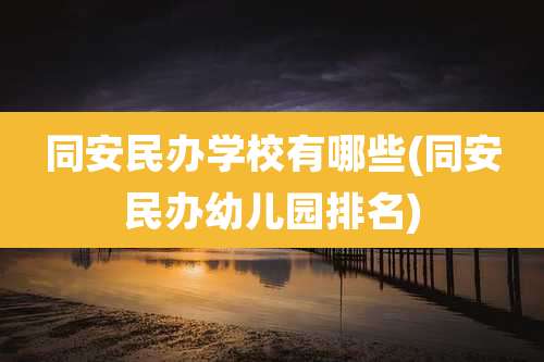 同安民办学校有哪些(同安民办幼儿园排名)