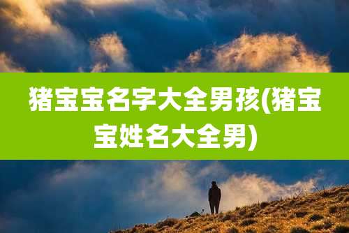 猪宝宝名字大全男孩(猪宝宝姓名大全男)