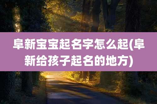 阜新宝宝起名字怎么起(阜新给孩子起名的地方)