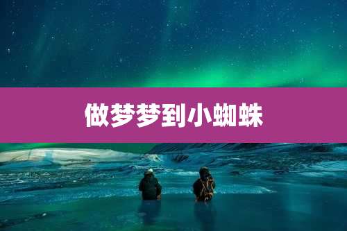 做梦梦到小蜘蛛