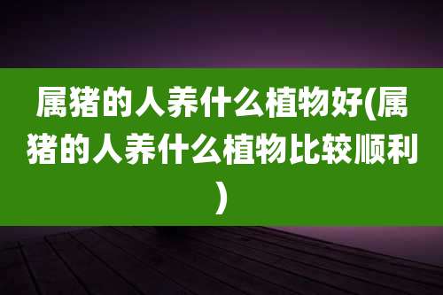 属猪的人养什么植物好(属猪的人养什么植物比较顺利)