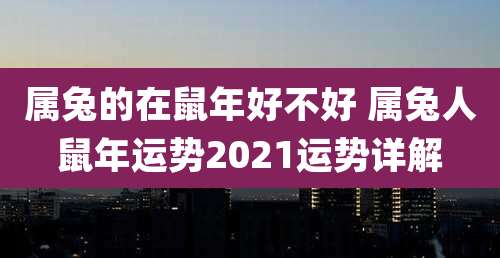 属兔的在鼠年好不好 属兔人鼠年运势2021运势详解